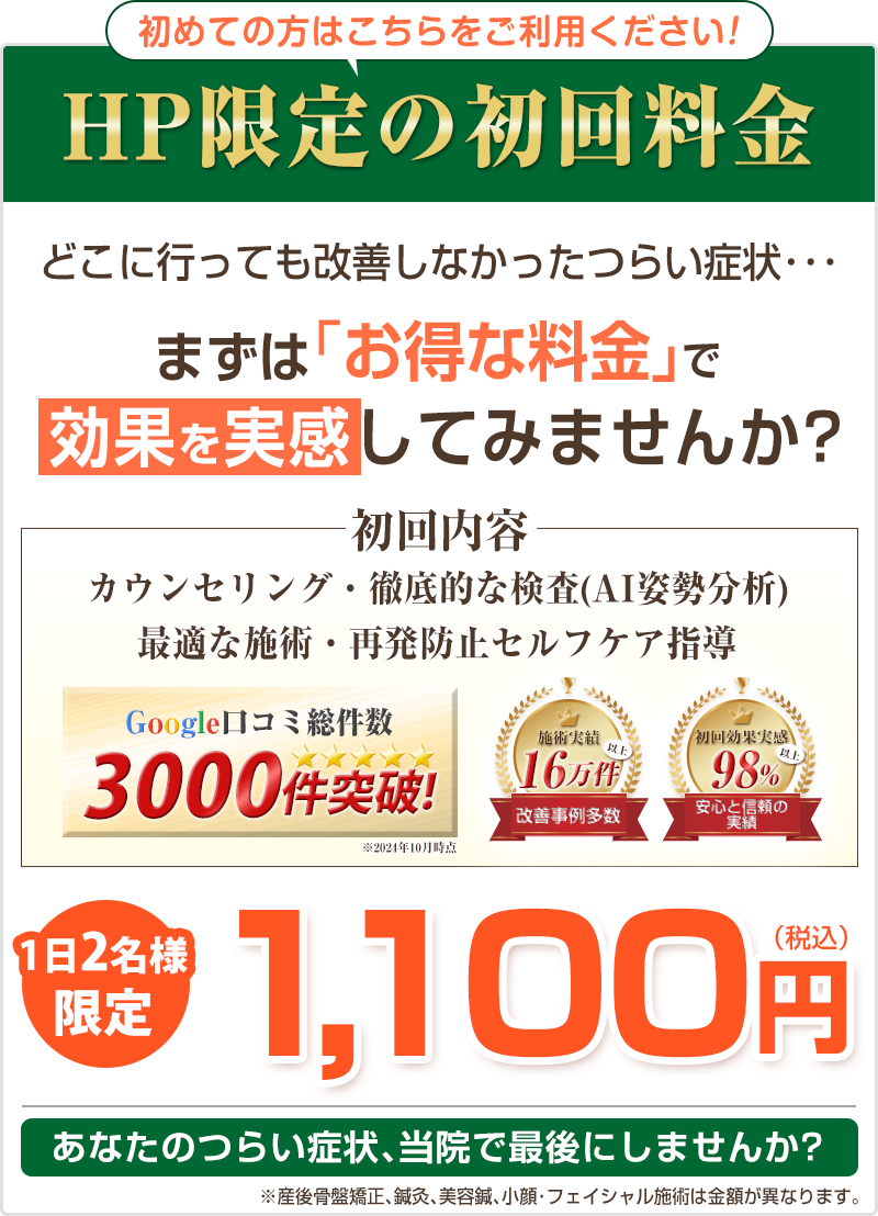 初回価格1,100円
